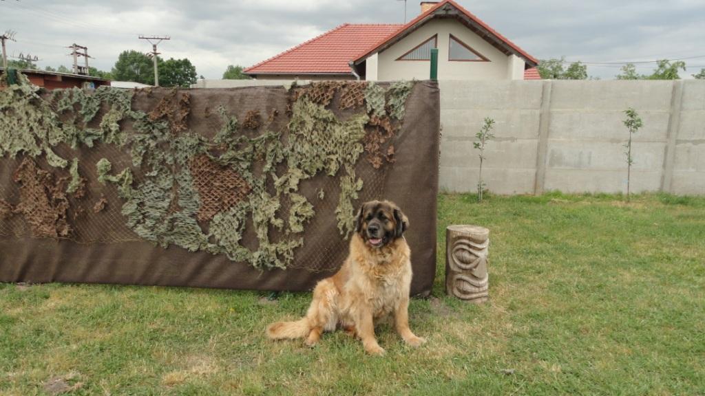 U Novomlynske Nadrze Otel Nove Mlyny Dış mekan fotoğraf